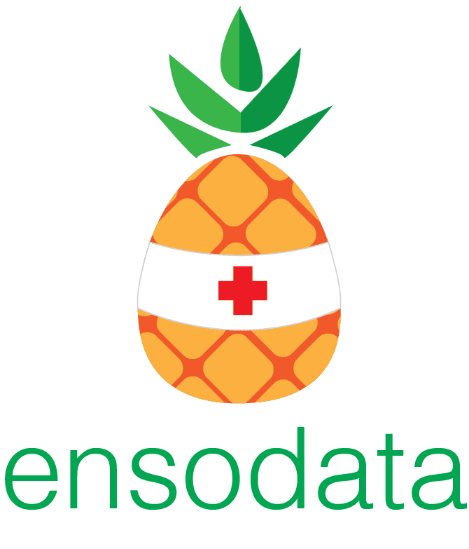 EnsoData logo