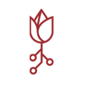 Rosebud AI logo