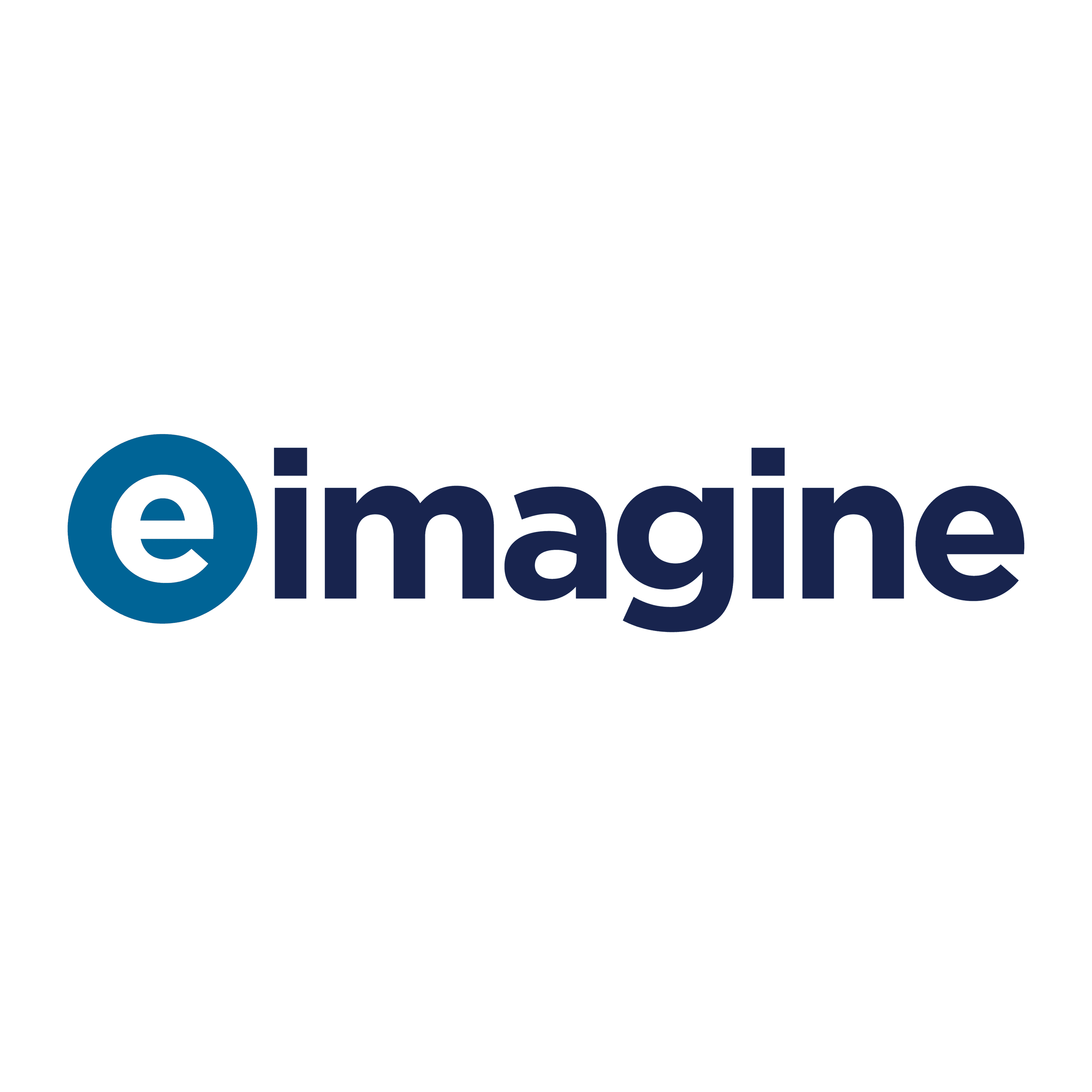 eimagine logo