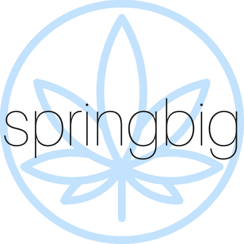 Springbig logo