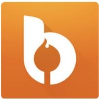 bonfyre logo