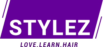 Stylez logo