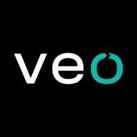 Veo logo