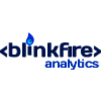 Blinkfire Analytics logo