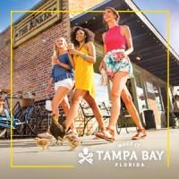 Make it Tampa Bay logo