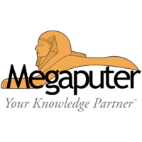 Megaputer Intelligence logo