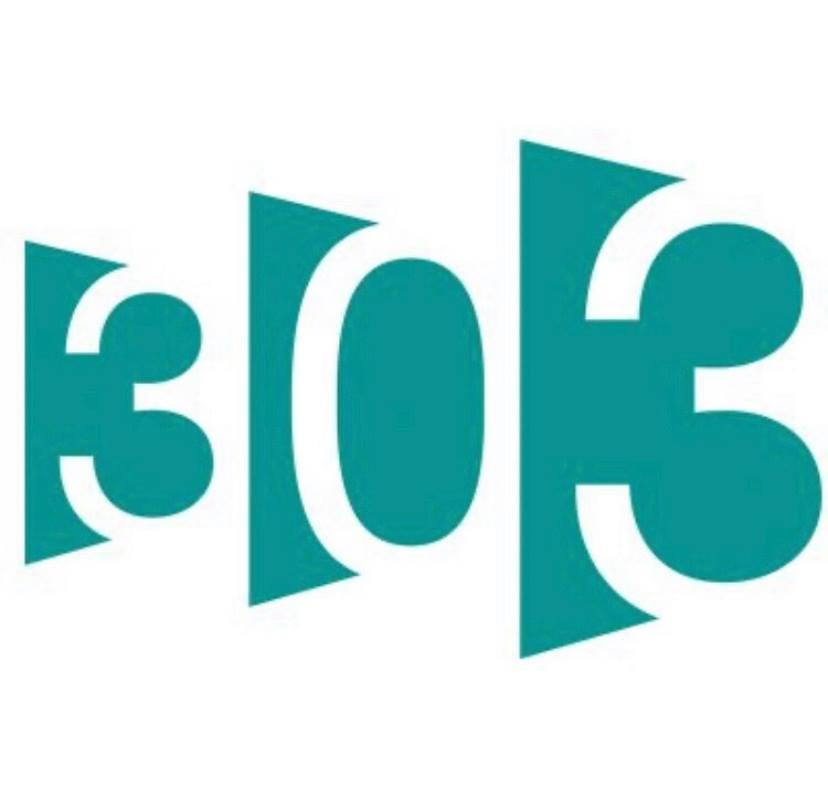 303 Software logo