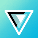 Vuplex logo